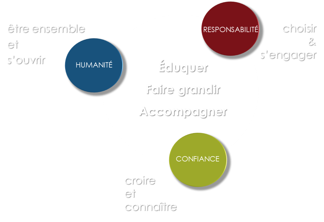 schema proj dir